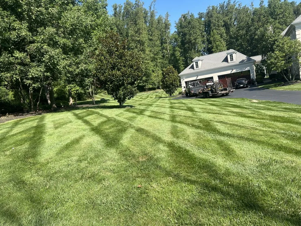 Local yard cleanup service for year-round maintenance across Avondale, PA - Valentin’s Property Maintenance