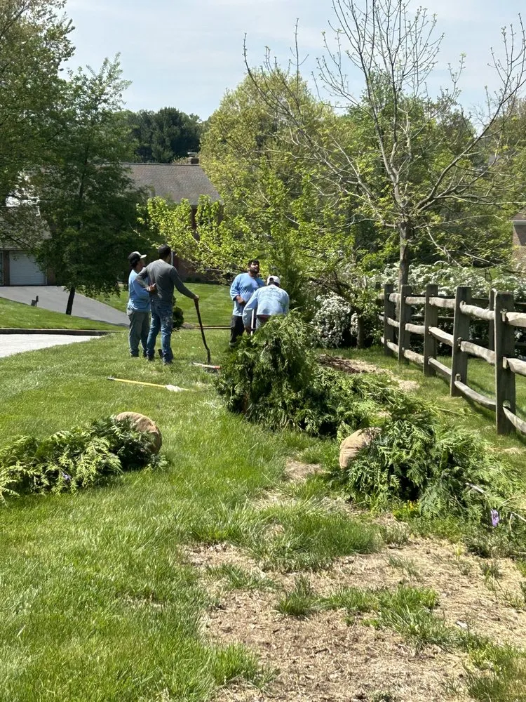 Reliable residential landscaping in Avondale, PA by Valentin’s Property Maintenance