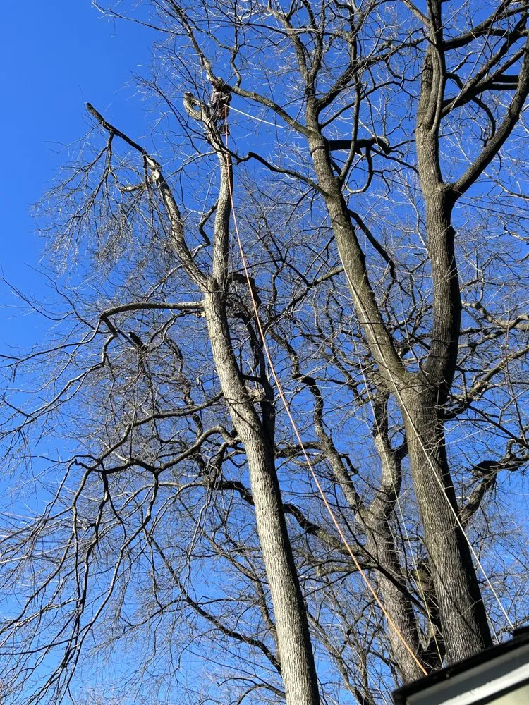 Top-rated residential landscaping for homes in Avondale, PA by Valentin’s Property Maintenance