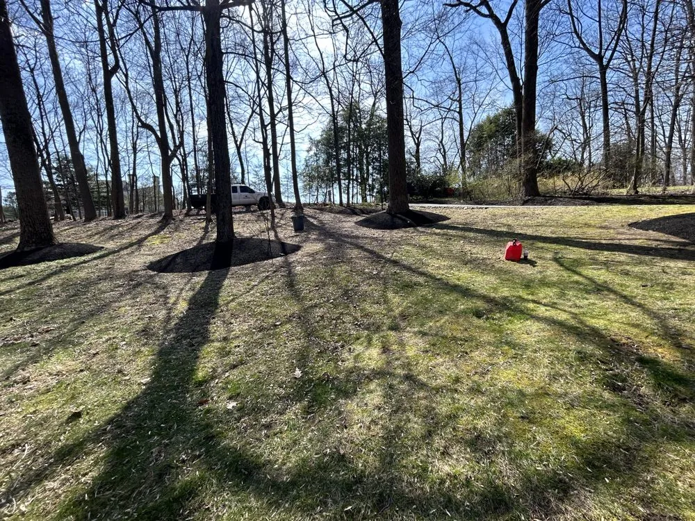 Expert residential landscaping in Avondale, PA - Valentin’s Property Maintenance