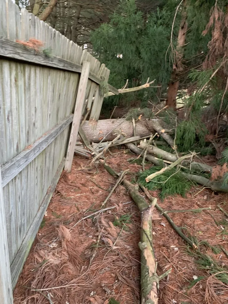 Expert residential landscaping experts serving Avondale, PA - Valentin’s Property Maintenance