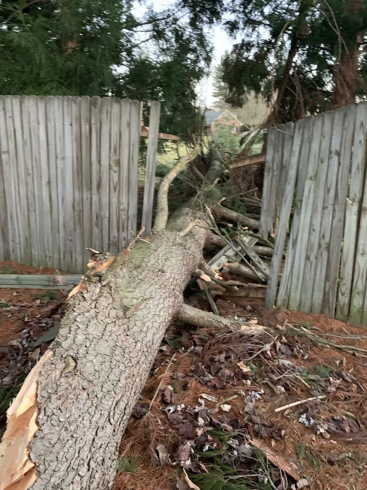 Custom yard maintenance near you in Avondale, PA by Valentin’s Property Maintenance