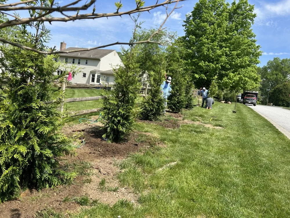 Affordable lawn care service experts serving Avondale, PA - Valentin’s Property Maintenance