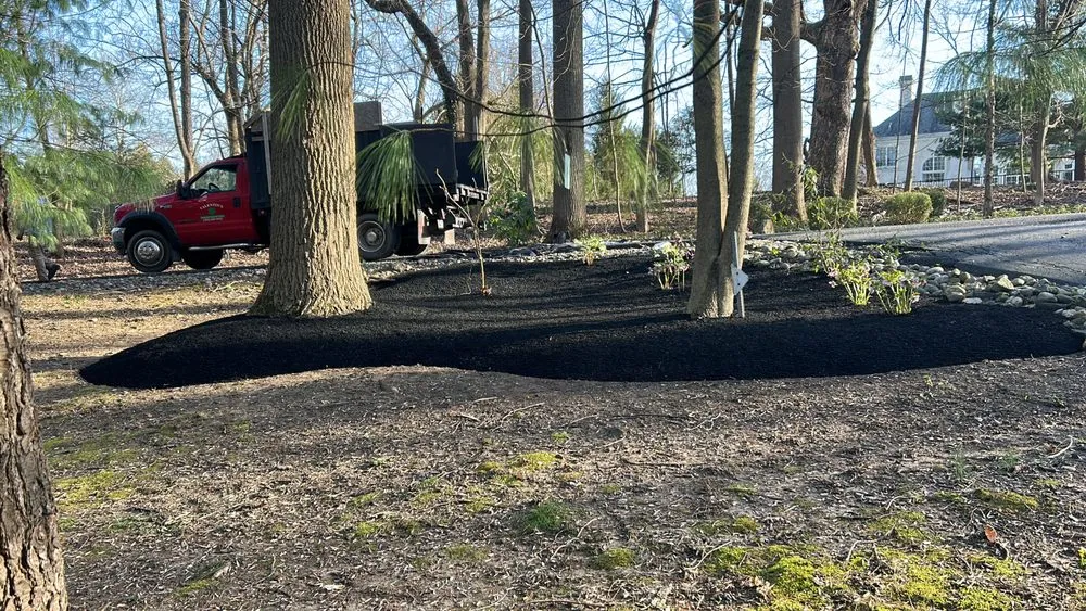 Custom yard cleanup service experts serving Avondale, PA - Valentin’s Property Maintenance