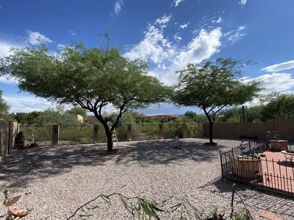 Professional residential landscaping with custom design across Tucson, AZ - Valenz Landscaping