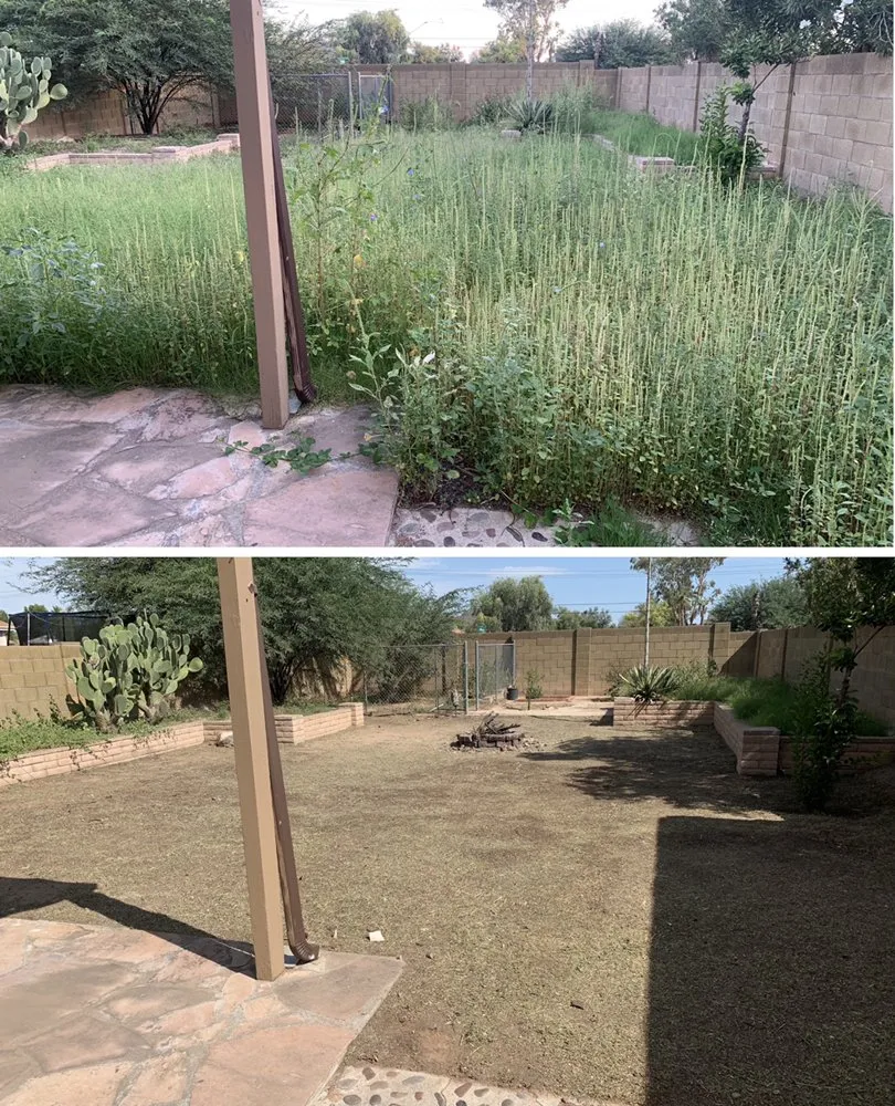 Local yard maintenance for outdoor upgrades in Tucson, AZ by Valenz Landscaping