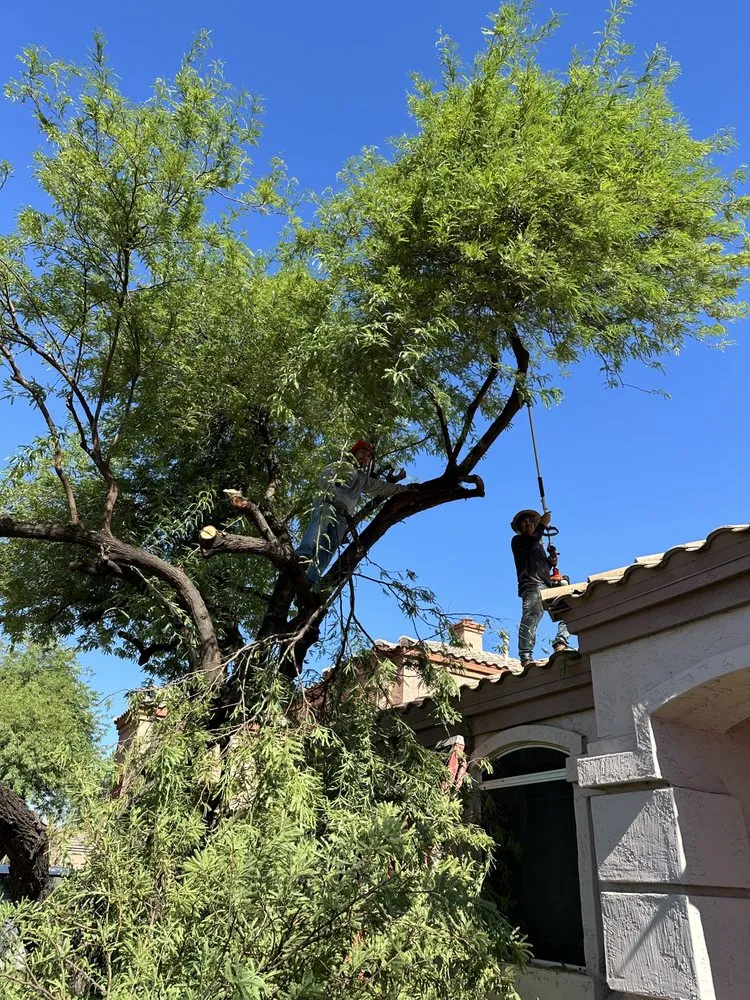 Affordable yard maintenance for outdoor upgrades in Casa Grande, AZ by Valenzuela Landscaping Services