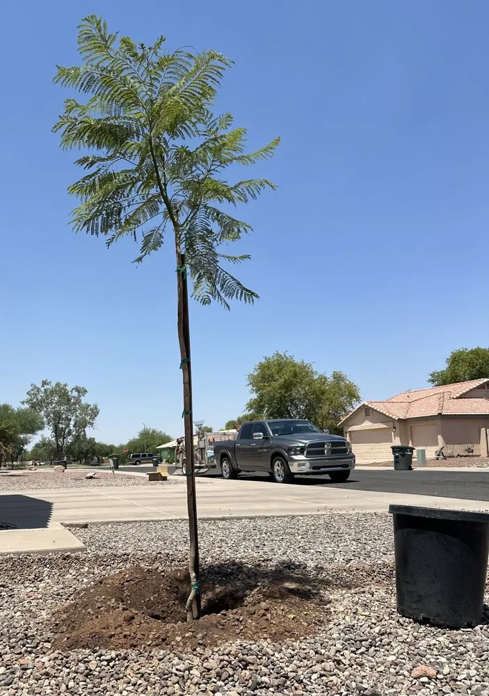 Reliable yard maintenance experts serving Casa Grande, AZ - Valenzuela Landscaping Services