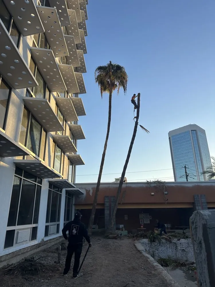 Affordable residential landscaping for homes across Casa Grande, AZ - Valenzuela Landscaping Services