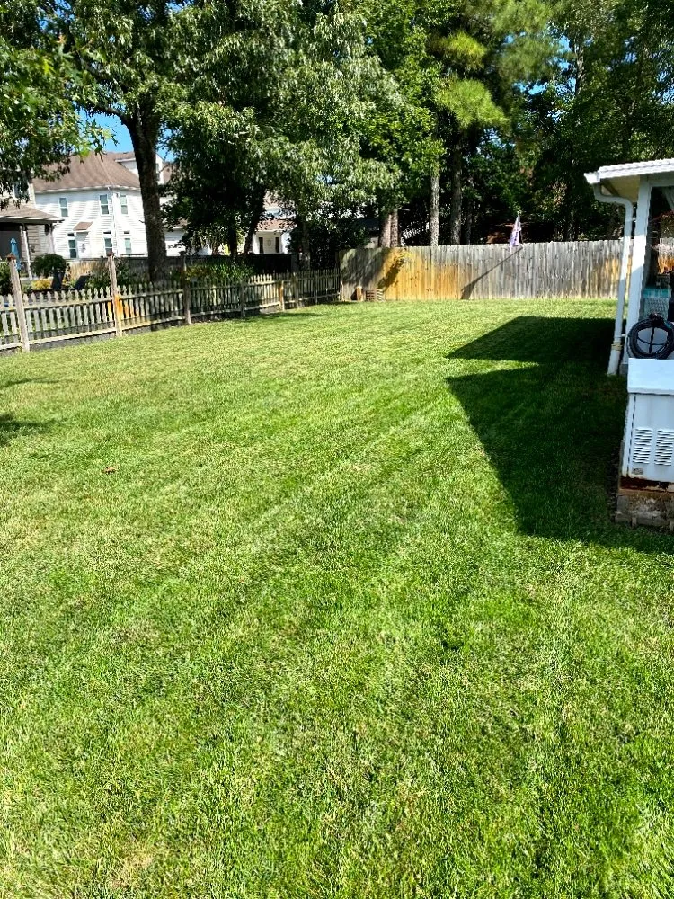 Reliable yard cleanup service in Gates, NY - Valeria Landscaping