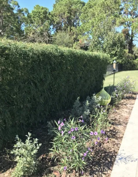 Reliable landscape design in Winter Haven, FL by Valern Landscaping Services