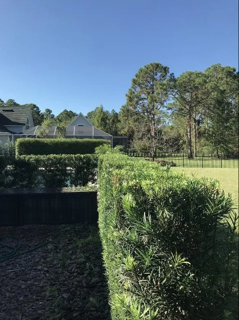 Local landscape design for beautiful yards across Winter Haven, FL - Valern Landscaping Services