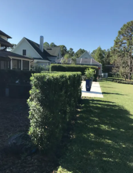Top-rated landscape design in Winter Haven, FL by Valern Landscaping Services