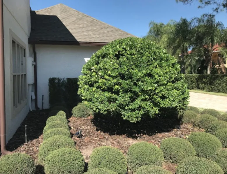 Trusted lawn care service in Winter Haven, FL by Valern Landscaping Services