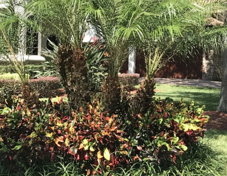 Top-rated landscape installation for homes across Winter Haven, FL - Valern Landscaping Services