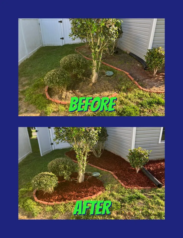 Trusted yard maintenance for year-round maintenance in Newport News, VA by Valhalla Lawncare