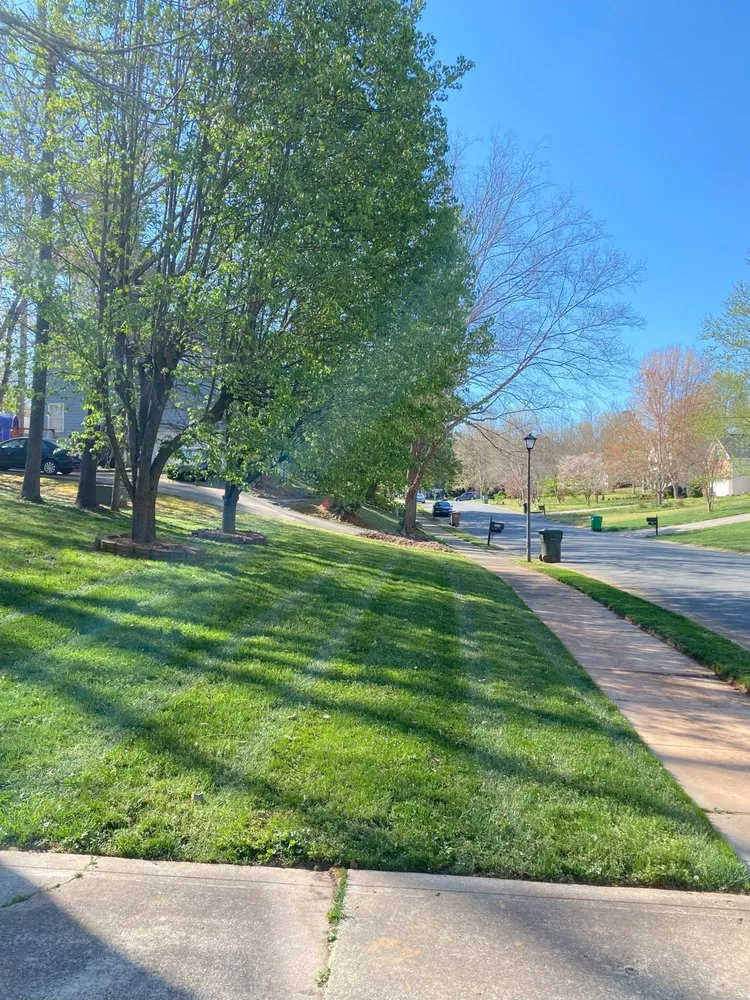 Reliable lawn mowing service with custom design in Waxhaw, NC by Valhalla Lawnscapes