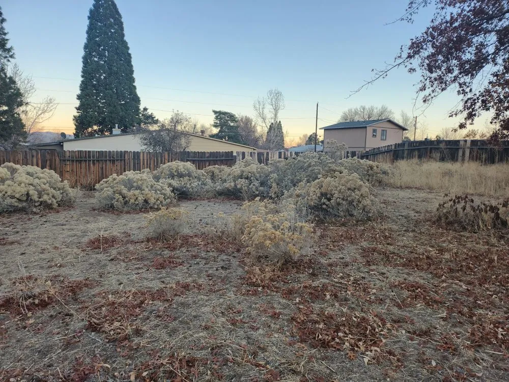 Professional landscaping services near you across Sparks, NV - Valhalla Reno