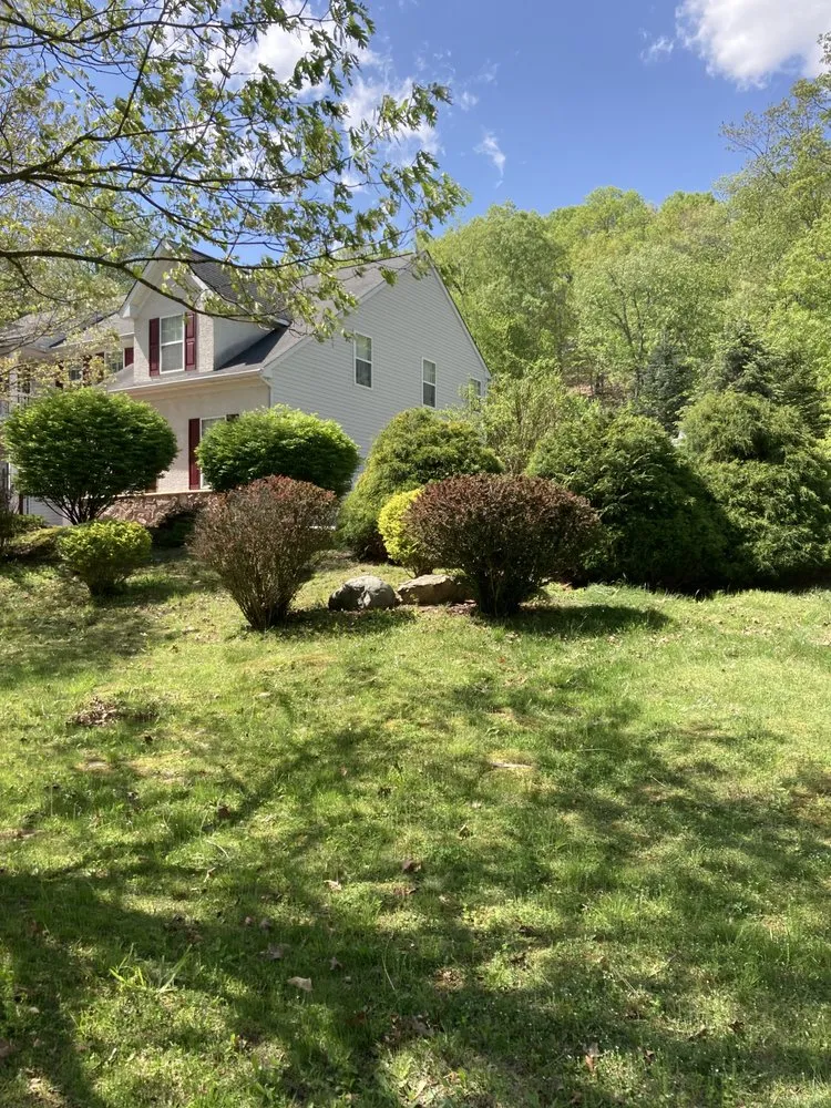 Professional yard cleanup service in East Stroudsburg, PA - Valhalloor Landscapes