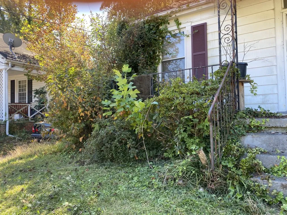 Top-rated landscape installation in Danville, VA - Valid Lawncare