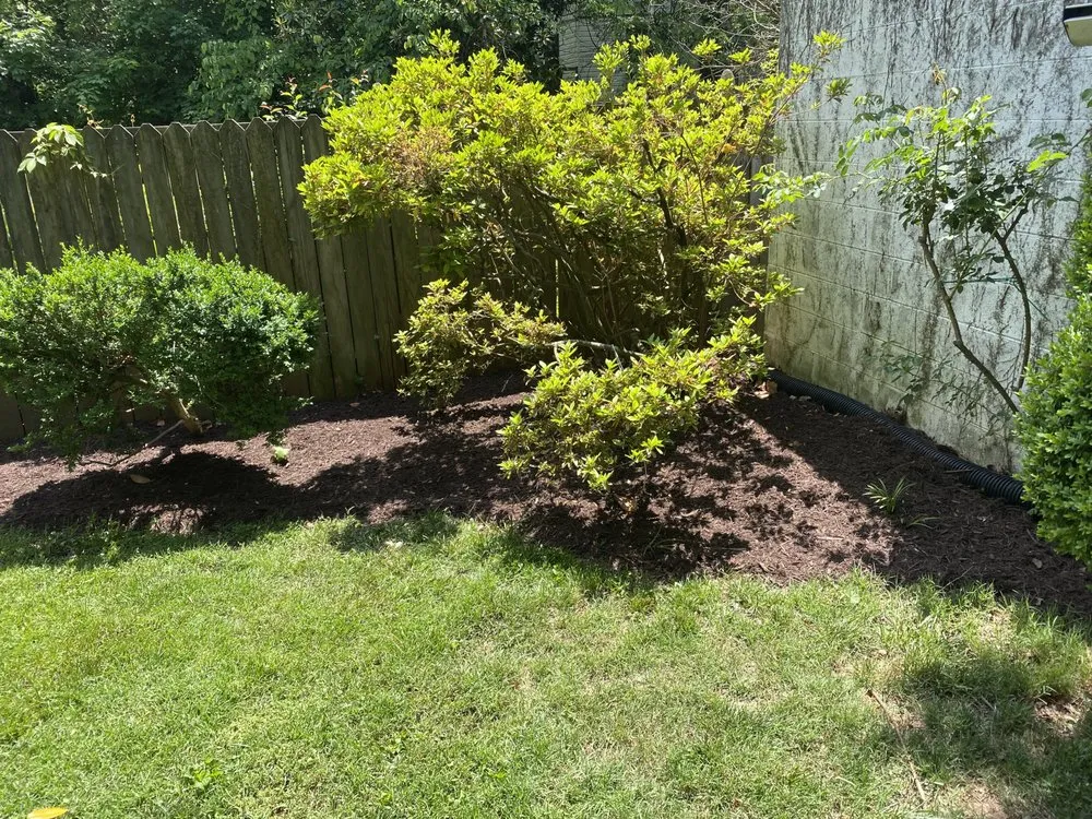 Expert yard cleanup service experts serving Danville, VA - Valid Lawncare