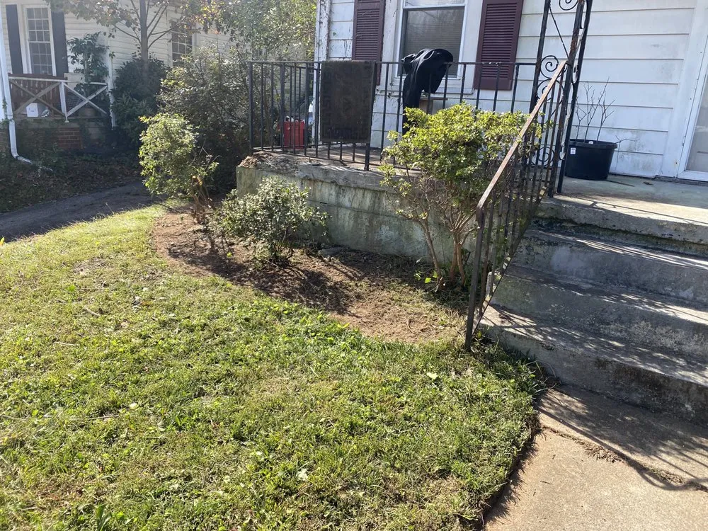 Expert yard cleanup service in Danville, VA - Valid Lawncare