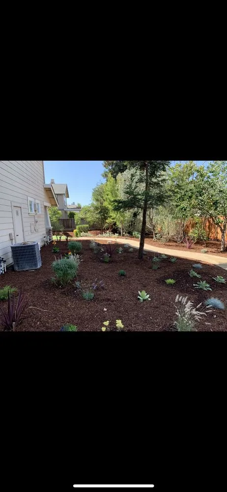 Professional landscape installation in Novato, CA by Valiente Landscape Contractor
