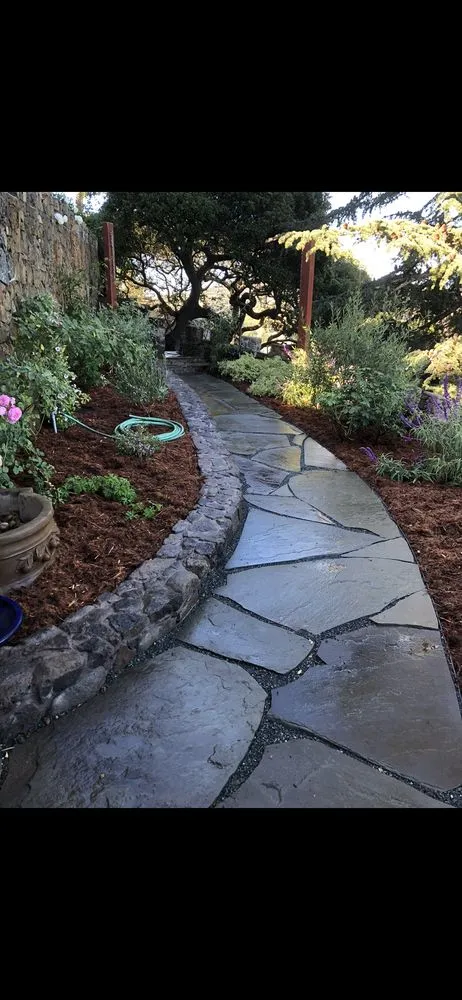 Top-rated landscape design in Novato, CA - Valiente Landscape Contractor