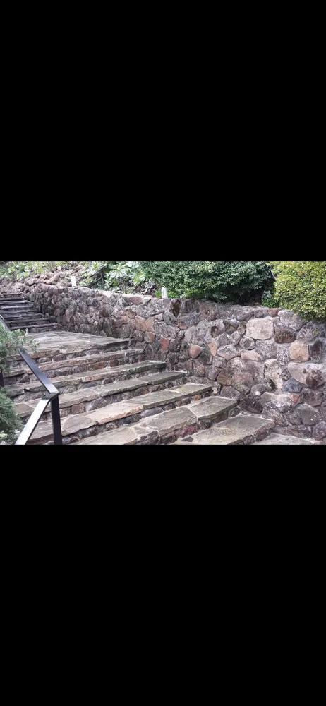 Top-rated yard maintenance in Novato, CA - Valiente Landscape Contractor