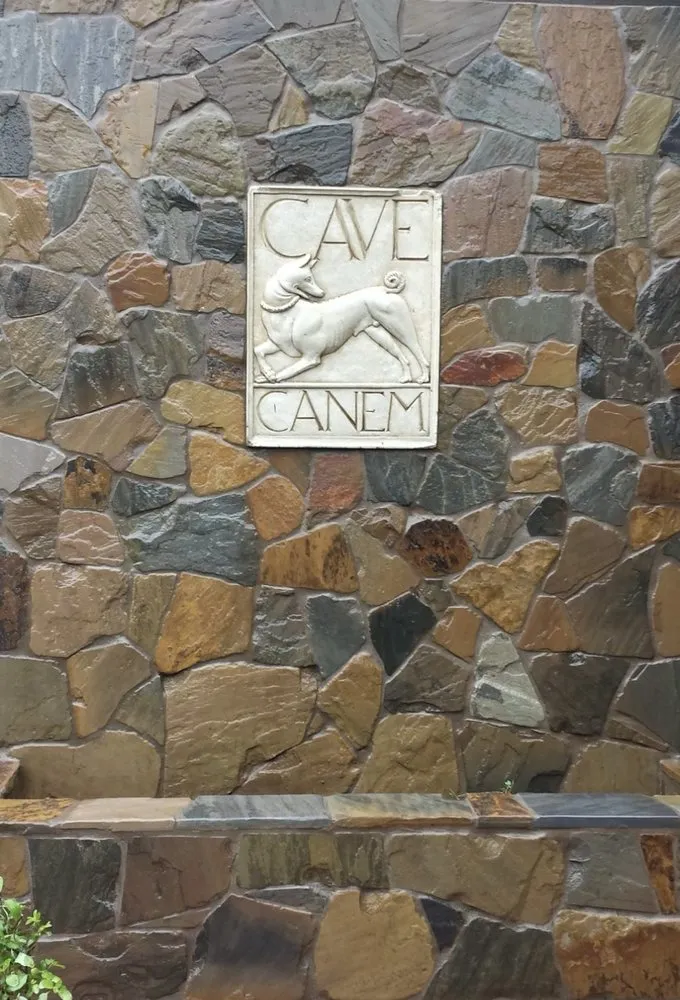 Reliable outdoor landscaping in Novato, CA - Valiente Landscape Contractor