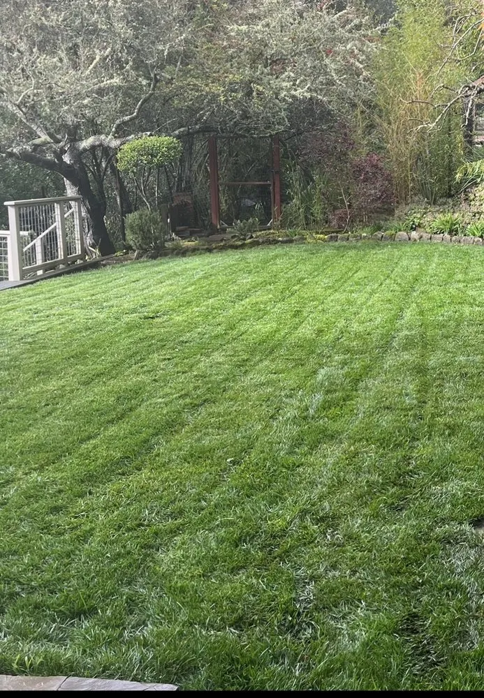 Affordable yard maintenance in Novato, CA - Valiente Landscape Contractor