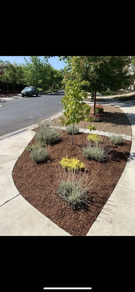 Reliable garden landscaping in Novato, CA by Valiente Landscape Contractor
