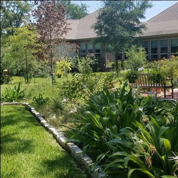 Professional outdoor landscaping for year-round maintenance in Houston, TX by Valiente Landscaping