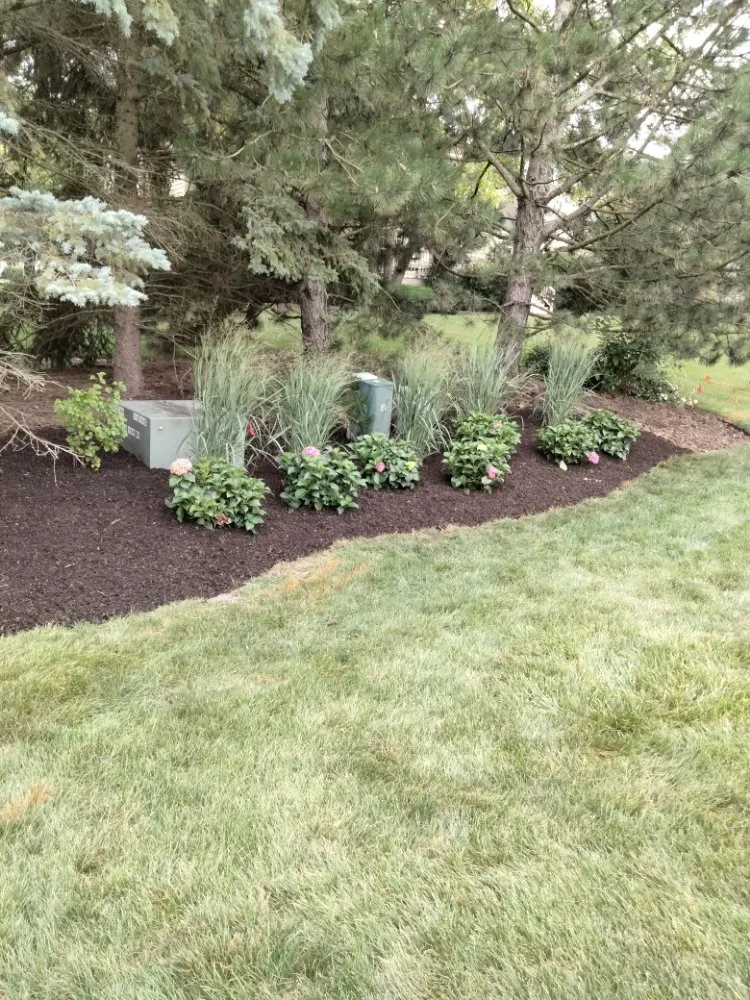 Reliable lawn care service in Waukegan, IL by Valladolid Landscaping