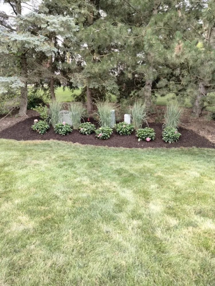 Reliable yard cleanup service in Waukegan, IL by Valladolid Landscaping