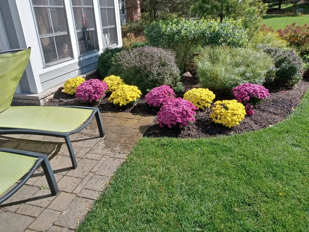 Top-rated landscape design for year-round maintenance in Waukegan, IL by Valladolid Landscaping
