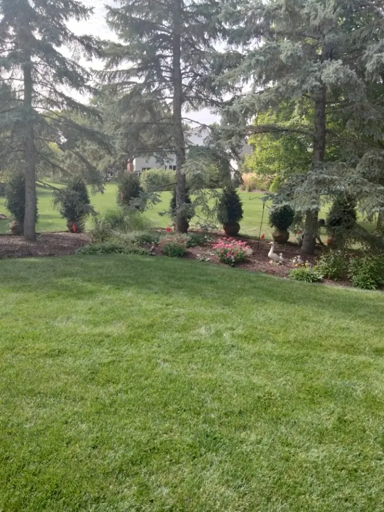 Local landscape installation for homes across Waukegan, IL - Valladolid Landscaping