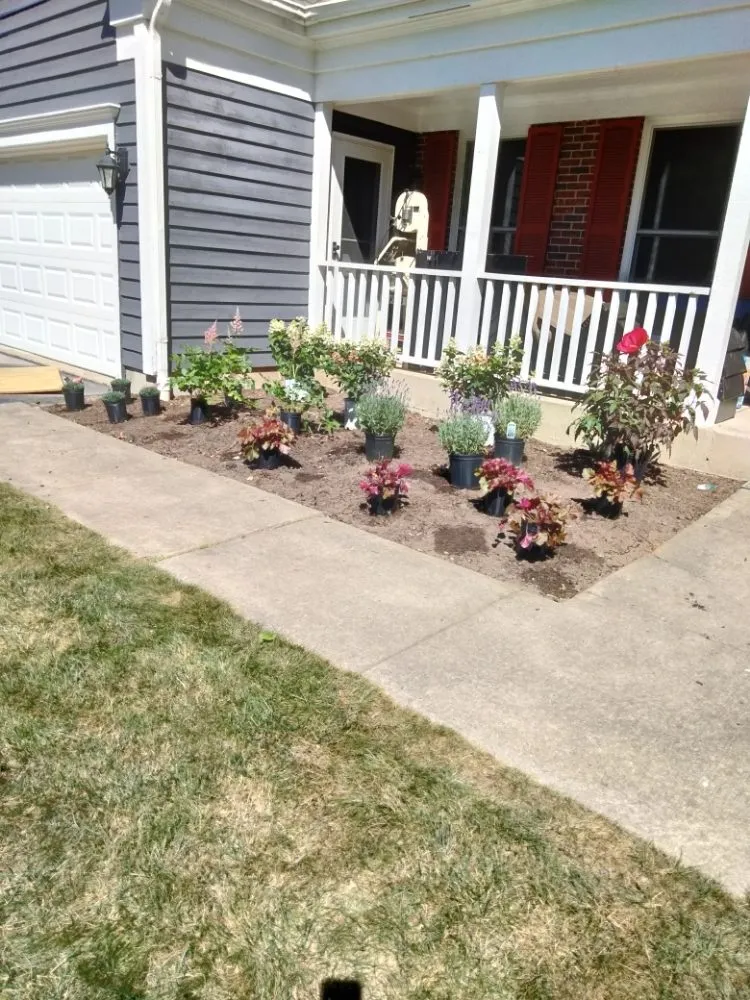 Top-rated yard cleanup service for outdoor upgrades in Waukegan, IL by Valladolid Landscaping