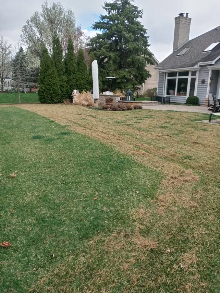 Trusted lawn care service for outdoor upgrades across Waukegan, IL - Valladolid Landscaping