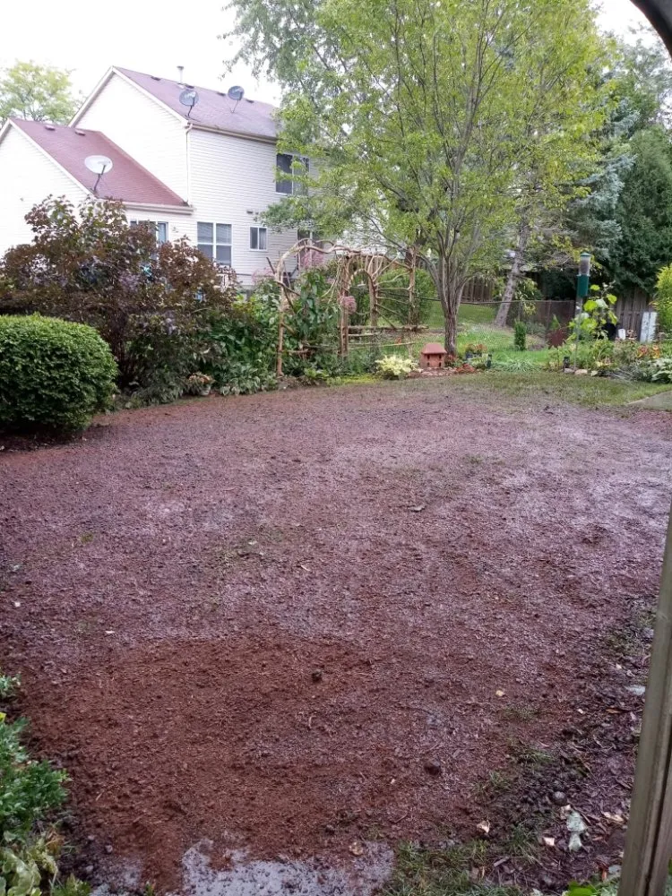 Affordable residential landscaping experts serving Waukegan, IL - Valladolid Landscaping