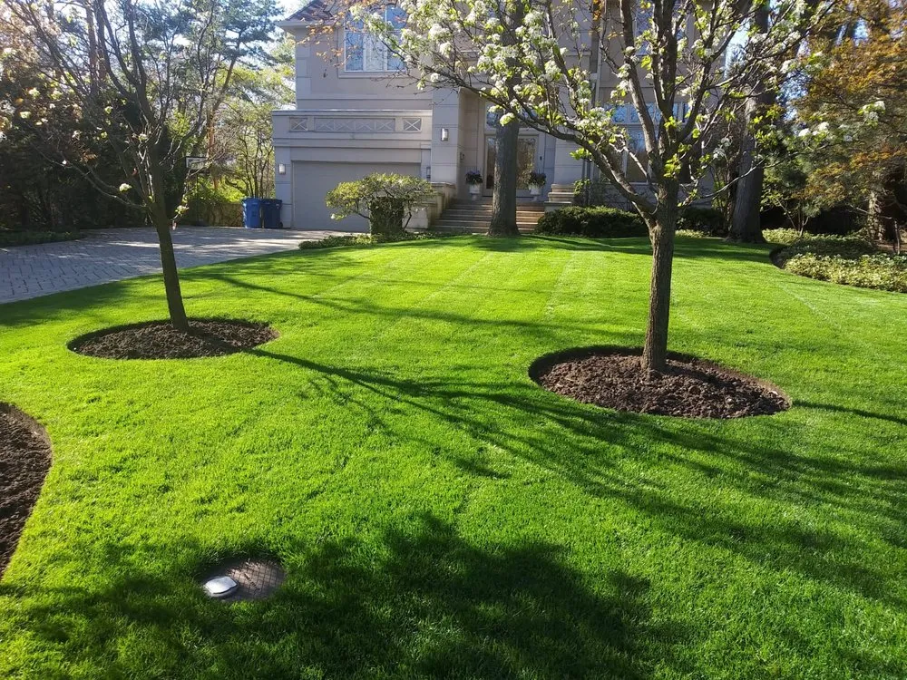 Reliable yard cleanup service experts serving Waukegan, IL - Valladolid Landscaping
