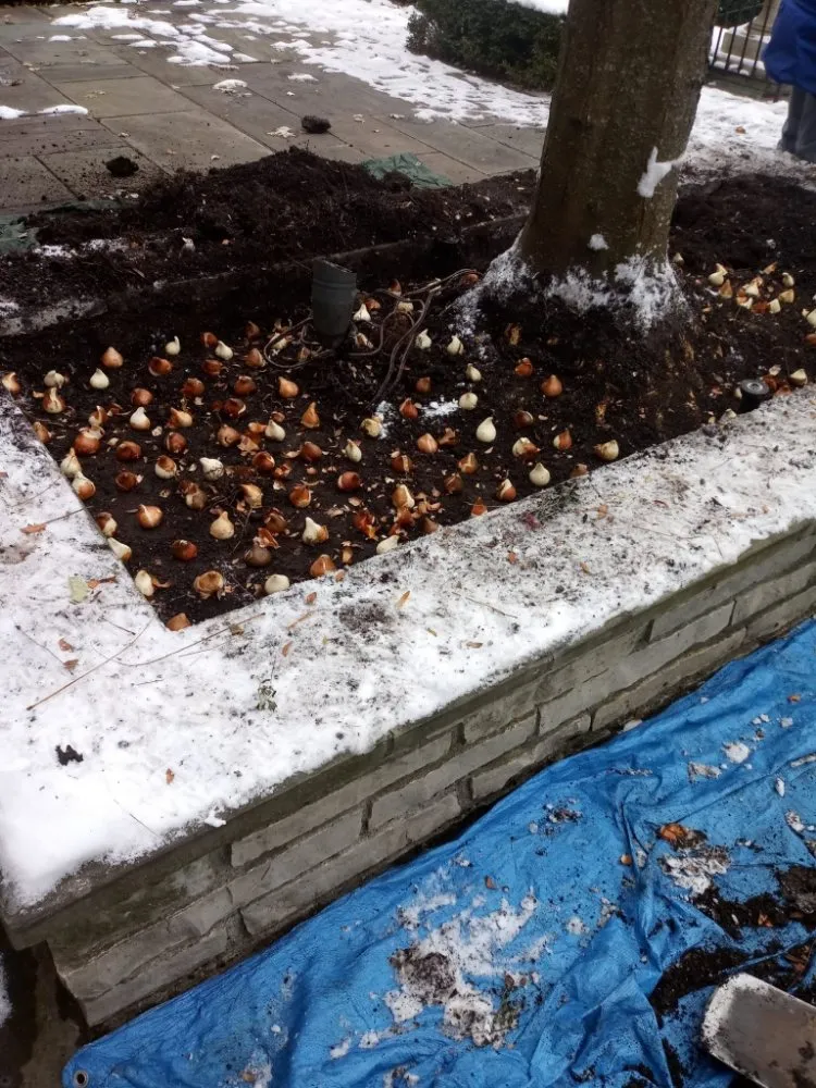 Trusted lawn care service for outdoor upgrades in Waukegan, IL by Valladolid Landscaping