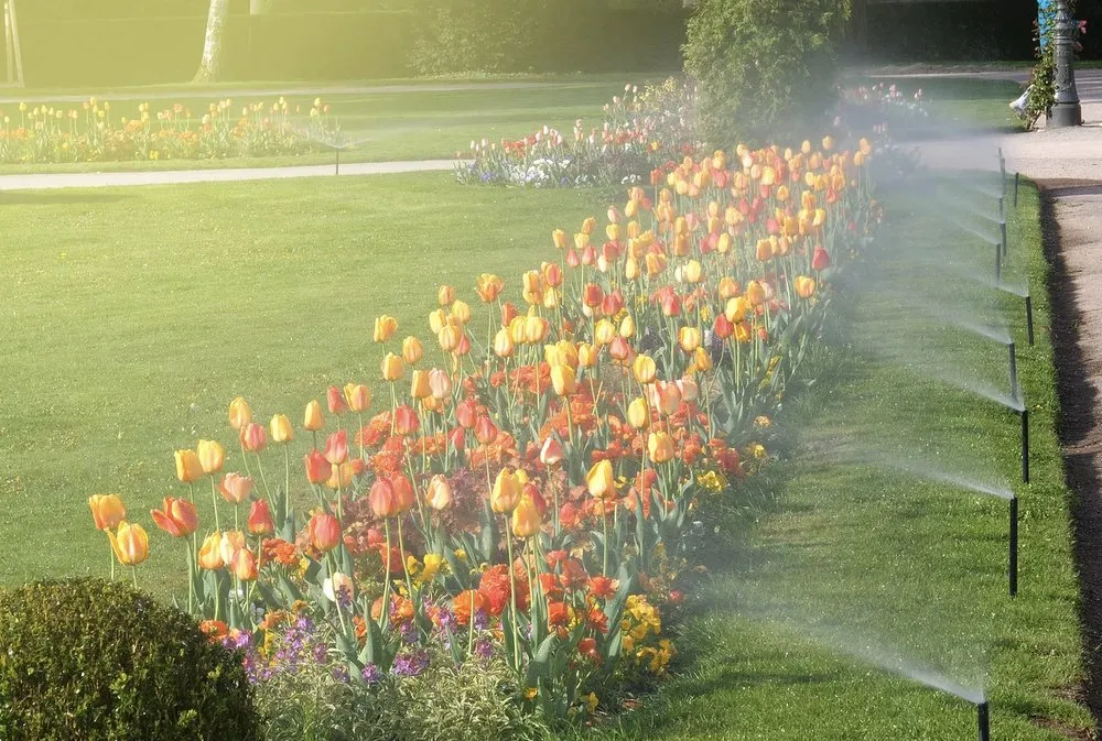 Reliable landscaping services with custom design across San Antonio, TX - Vallan Landscaping & Property Services