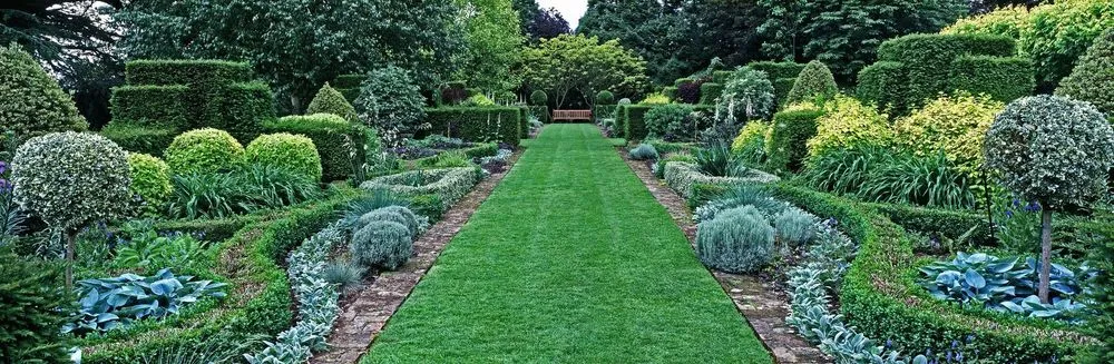 Reliable yard cleanup service for residential properties in San Antonio, TX by Vallan Landscaping & Property Services