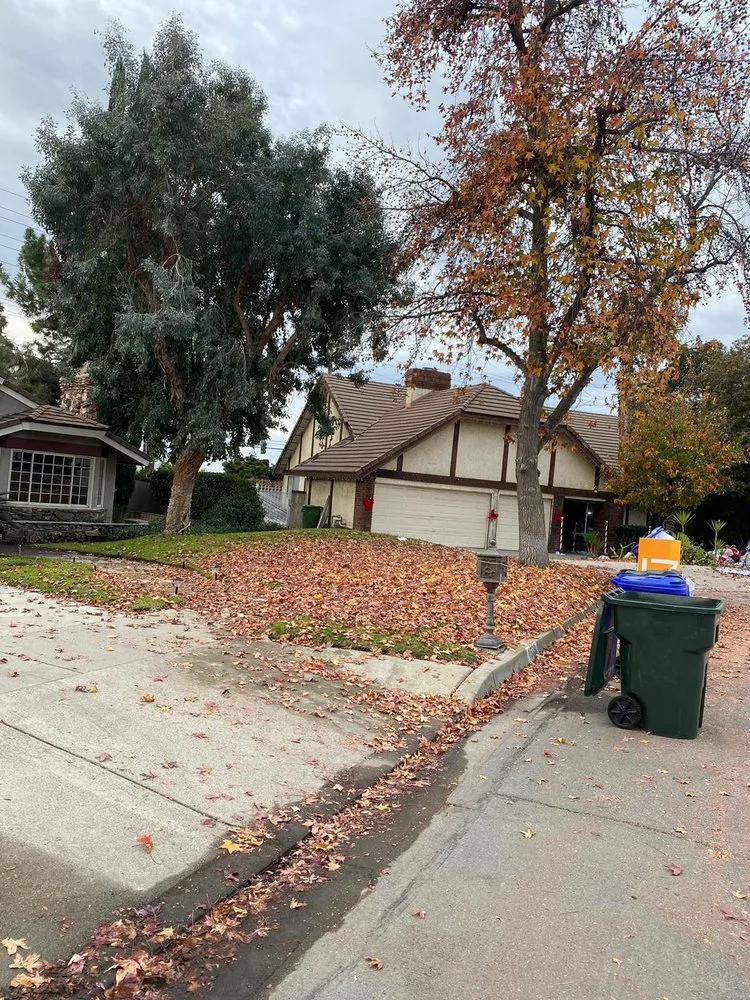 Custom landscape design in Fontana, CA by Vallarta Brother’s Gardening and Landscaping