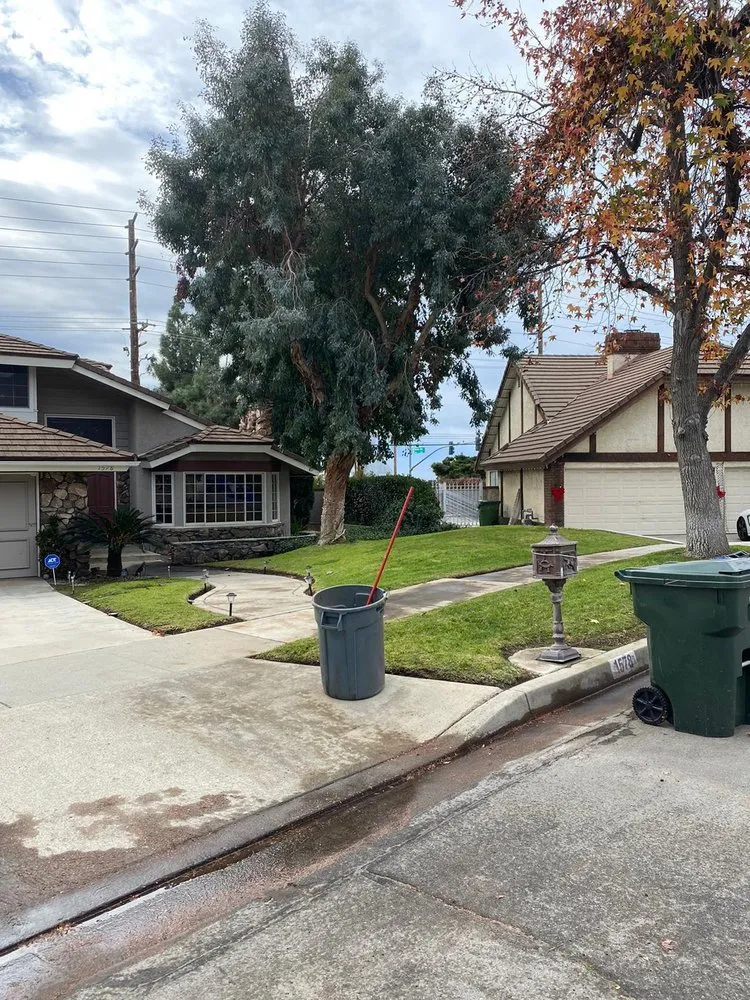 Professional landscape design in Fontana, CA by Vallarta Brother’s Gardening and Landscaping