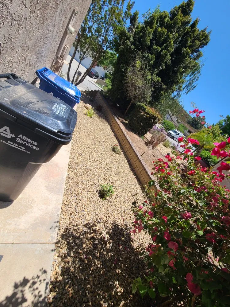 Expert yard cleanup service in Thousand Oaks, CA - Vallarta Landscaping