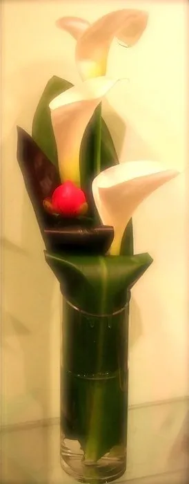 Affordable yard maintenance experts serving Thousand Oaks, CA - Vallarta Landscaping