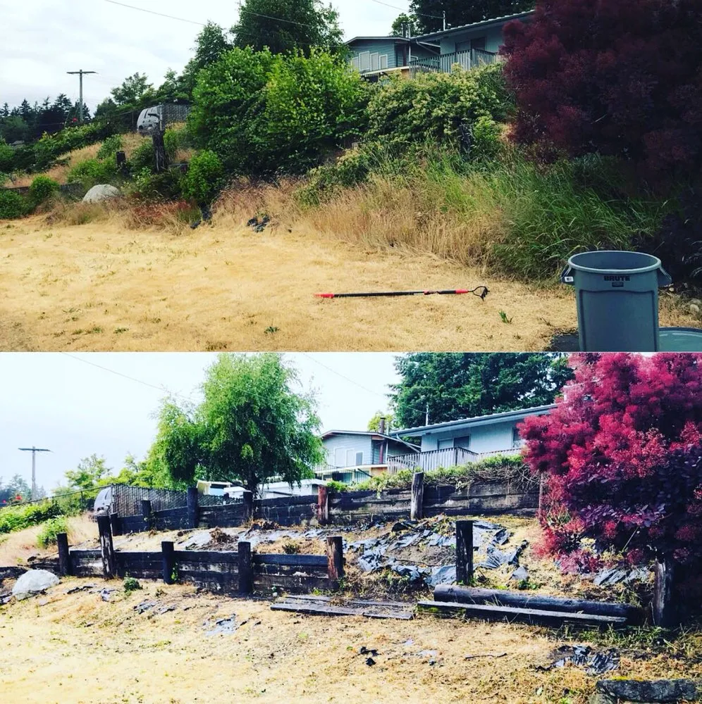 Trusted landscaping services in Seattle, WA - Vallartas landscaping