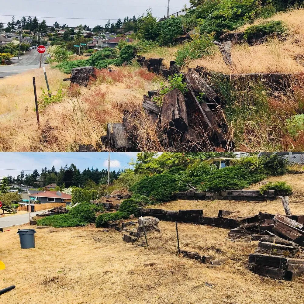 Local lawn mowing service for year-round maintenance across Seattle, WA - Vallartas landscaping